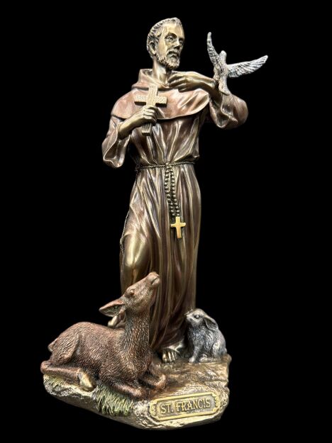 Rzeźba figurka Misjonarz ŚW. Franciszek Z Asyżu  VERONESE (WU76058A4)