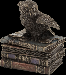 SNOW OWL IN BOOKS casket VERONESE (WU75511A4)
