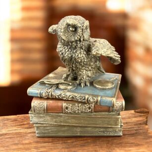 figurka rzeźba  Śnieżna SOWA NA KSIĄŻKACH Szkatułka VERONESE (WU75511A4)
