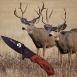 NÓŻ MYŚLIWSKI OSTRZE SKŁADANE ELK RIDGE ER-566BPW - 4