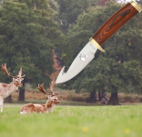 NÓŻ MYŚLIWSKI OSTRZE STAŁE ELK RIDGE ER-049 - 6