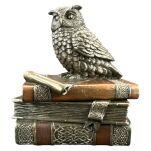 MAŁA SZKATUŁKA SOWA NA KSIĄŻKACH VERONESE  (WU75509A4) - 11